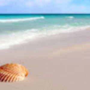 Meet your Posher, Marie